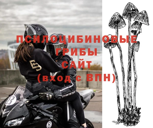 СК Абдулино