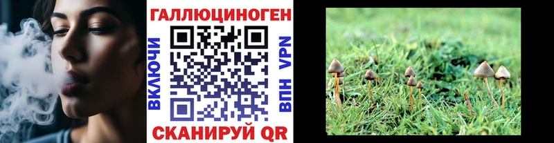 даркнет сайт  Чадан  Псилоцибиновые грибы ЛСД 